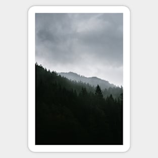 Foggy Moody Forest Landscape Sticker